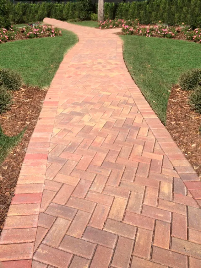 Sendero curvo de pavers tipo ladrillo en espiga entre césped y canteros